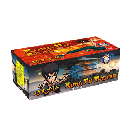 Kung Fu Master - HALF PRICE