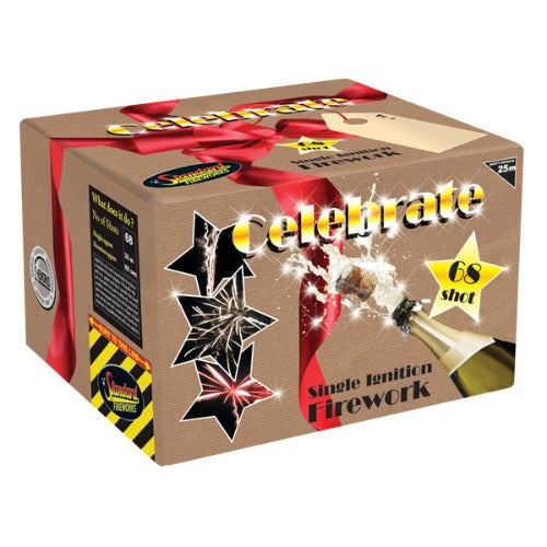 Celebrate Single Ignition Firework.